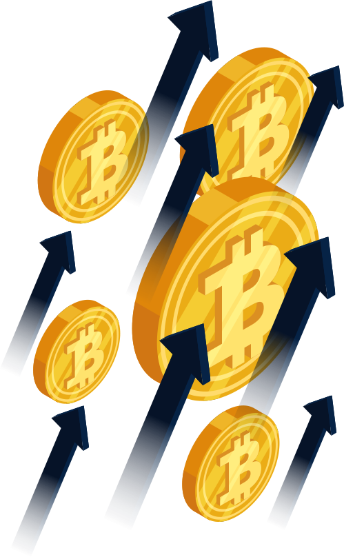 Fynorcoin member access